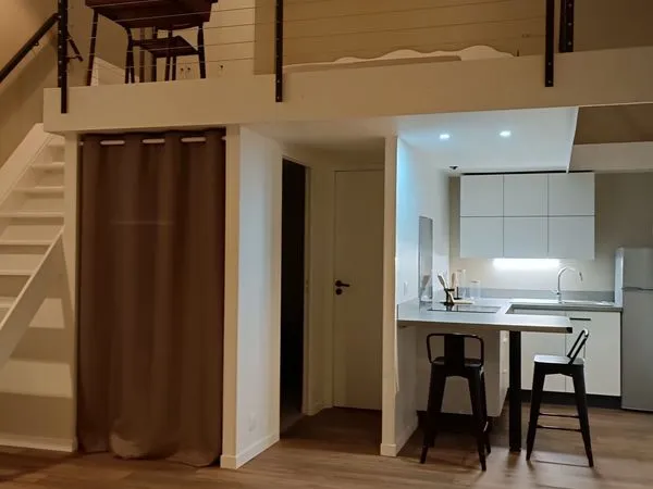 Appartement type Loft - meublé - refait à neuf 