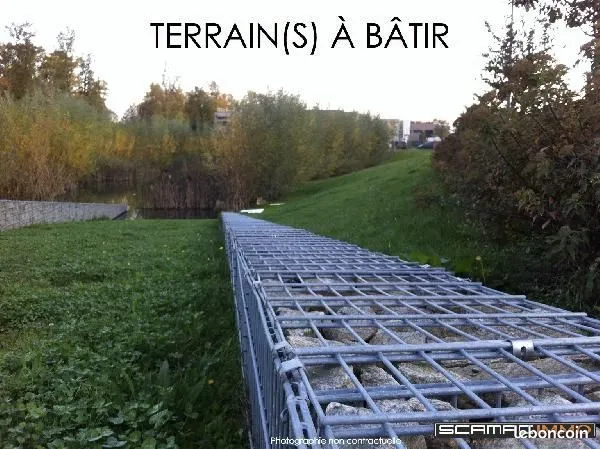 Terrain Tigery 