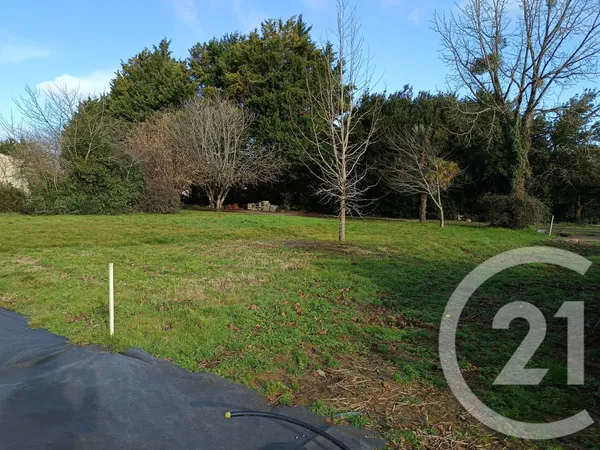 Terrain 491 m² 