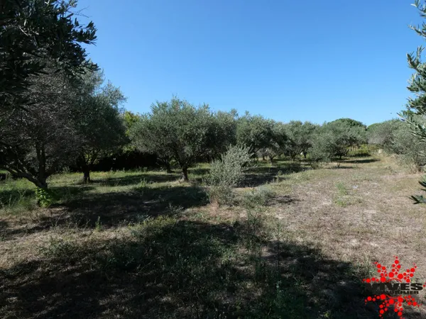 Terrain constructible 1326 m² 