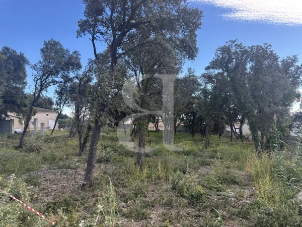 Terrain 650 m² 