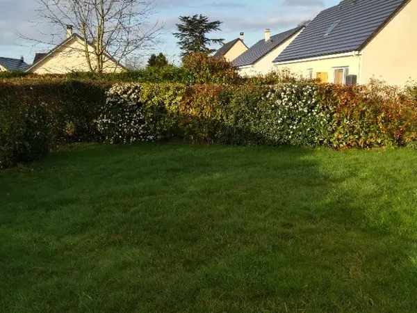 Terrain 525 m² 