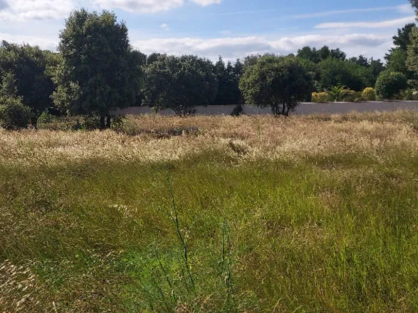 Terrain 440 m² 