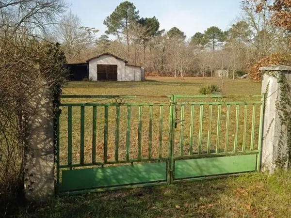 Terrain. 4000m2 constructibles libre constructeur viabilisé