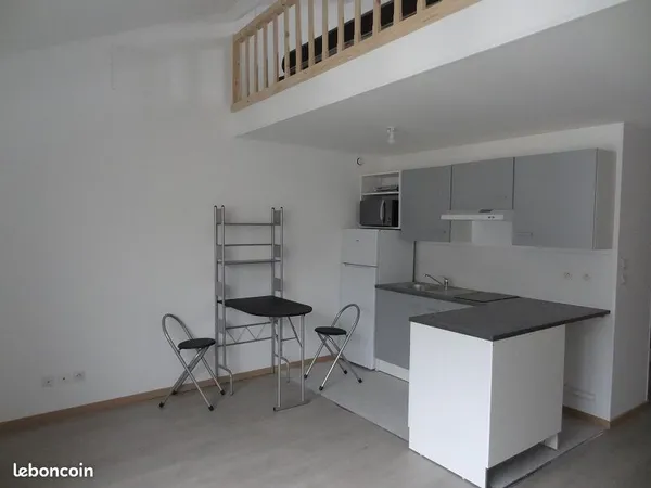 Duplex T1 bis centre-ville 