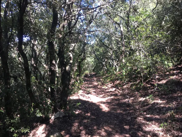 Belle propriété forestière de 40ha à proximité de la côte varoise 