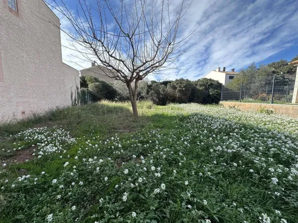 Vends terrain 