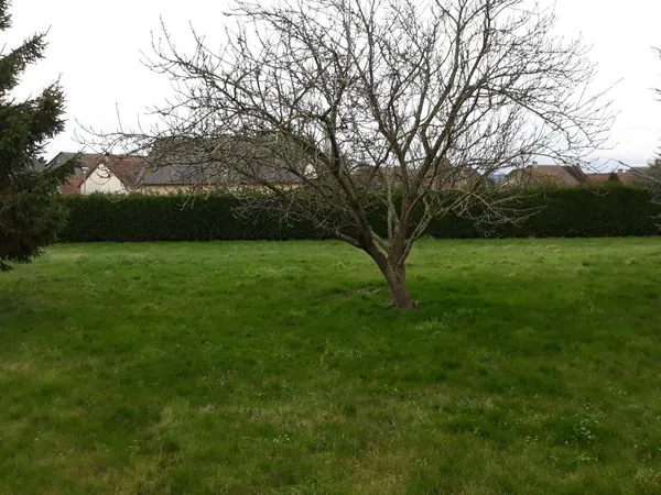 Terrain 950 m² 