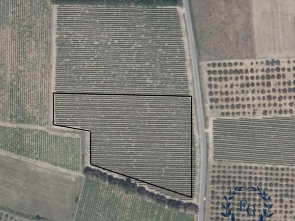 TERRAIN AGRICOLE - VIGNES