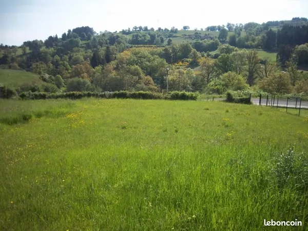 Terrain 1 750 m² Saint Dier D Auvergne 