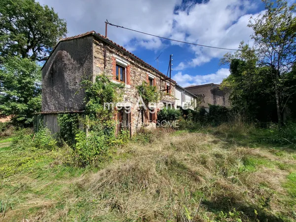 Maison double avec dépendances dans le Parc Naturel Régional du Haut Languedoc 