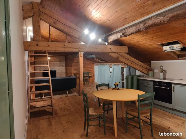Grand studio meublé 35 m² (67 m² au sol) - lumineux et rénové 