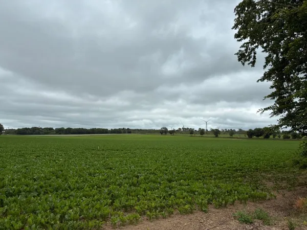 Terrain 608 m² 