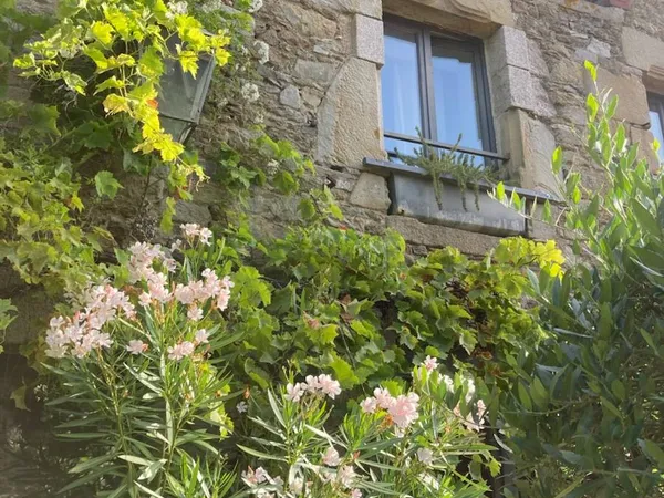 Vends maison de charme 