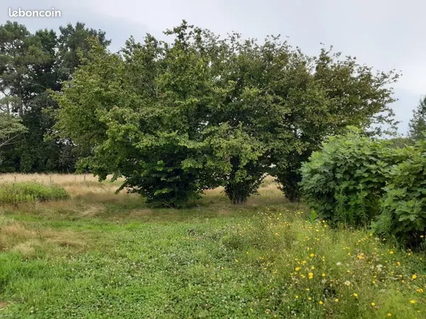 Terrain 530 m² Le Taillan Medoc 
