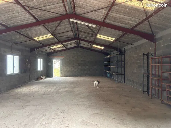 Location Hangar 