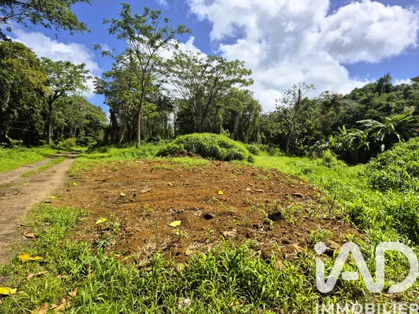Terrain 3292 m² 