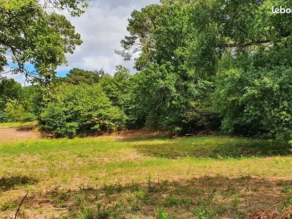 Terrain 1 650 m² Saint Privat En Perigord 