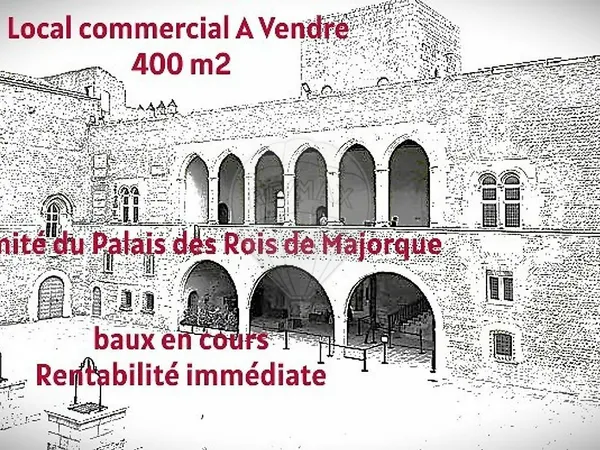 Local Commercial à vendre 