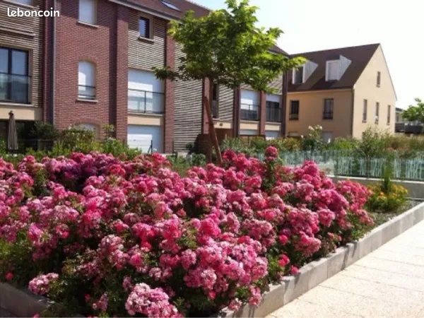 Appartement T3 Fermières en Brie 66 m2 