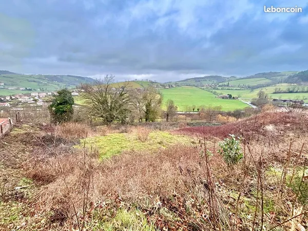 Terrain 960 m² THIZY LES BOURGS 