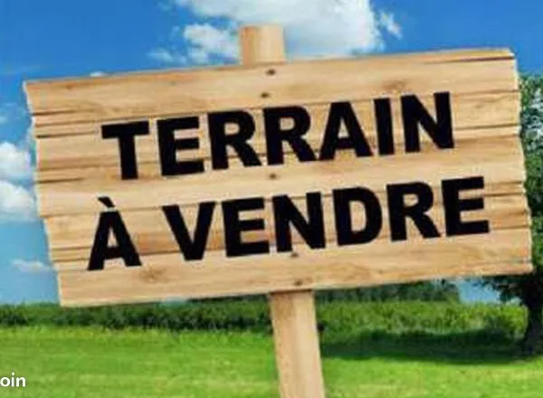 Terrain 290 m² 