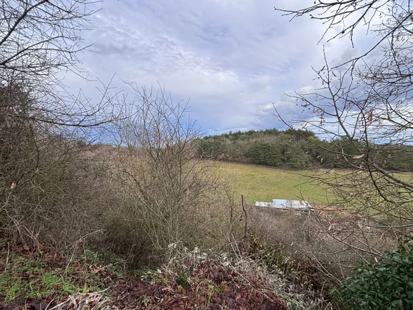 Terrain 7439 m² 