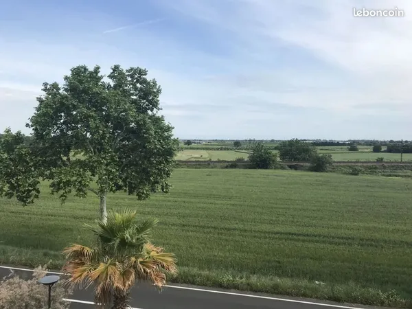 Appartement 3 pièces 55 m² 