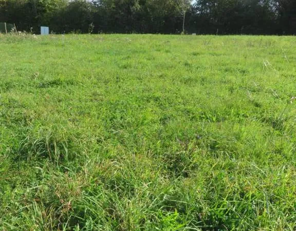 Terrain 664 m² 