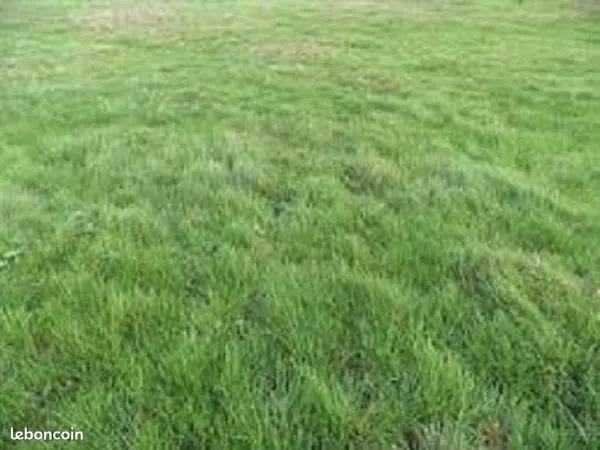 Terrain 600 m² Misy Sur Yonne 
