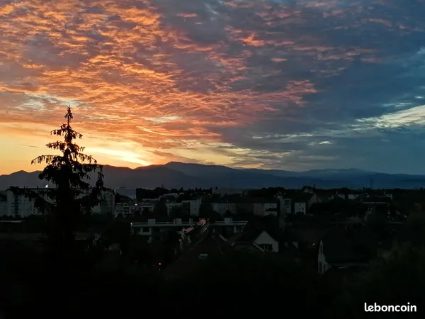 T1 avec balcon vue sur les Vosges lumineux et calme à Riedisheim 