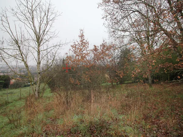 TERRAIN ALBI 