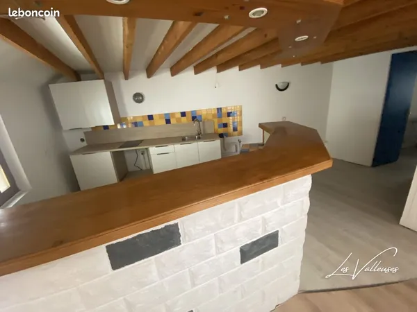 Duplex 1 pièce 59 m² 
