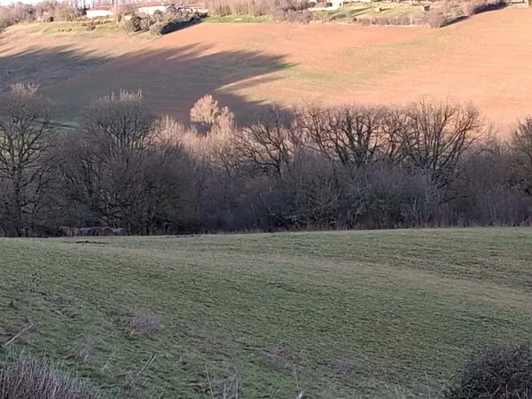 Terrain 99100 m² 