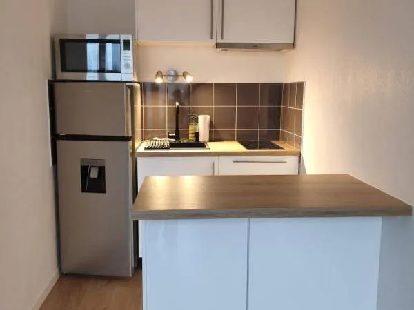 Appartement 2 pièces 41 m² 
