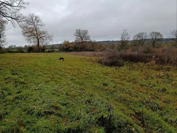 Terrain loisir plus de 6 hectares 