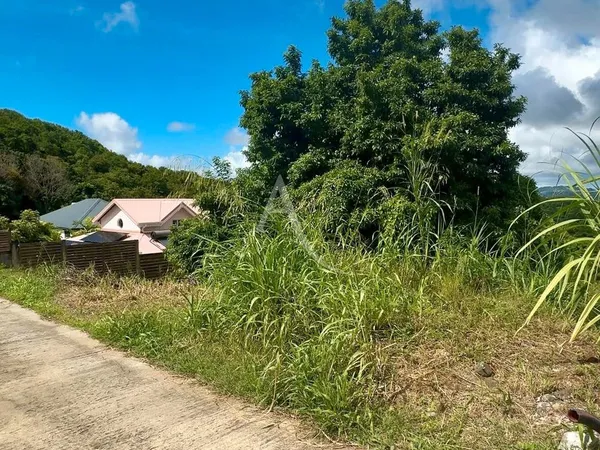 Terrain 733 m² RIVIERE SALEE 