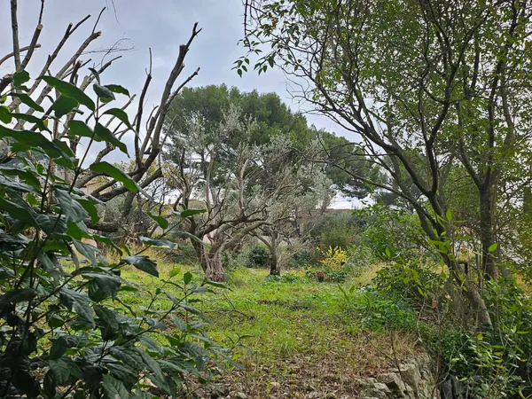 Vends terrain 