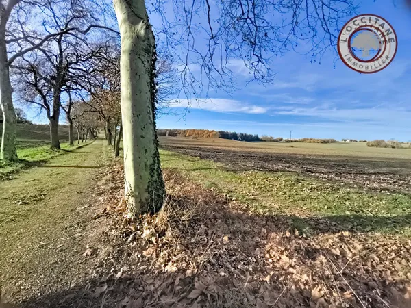 Terrain agricole 