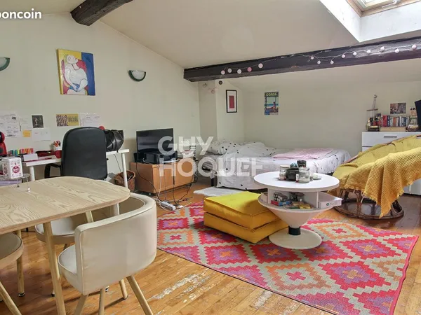 Appartement 1 pièce 20 m² 