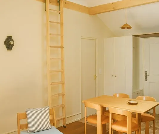 Loft 38 m² à louer - Centre-ville de Pau 