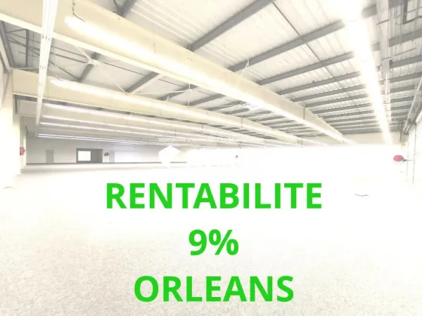 OPERATION INVESTISSEUR 9% ORLEANS 