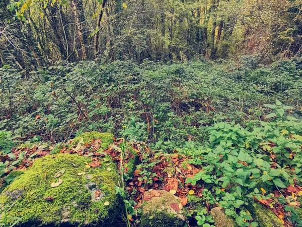 Joli terrain Natura 2000 