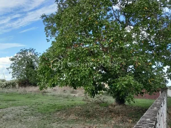 Terrain 685 m² Chabournay 