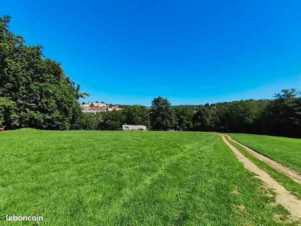 Terrain 9780 m² SAINT LIZIER 