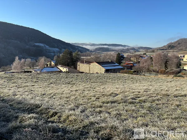 Terrain constructible à Polignac 