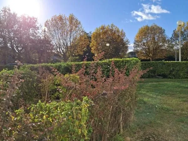 Studio 1 pièce 37 m² 