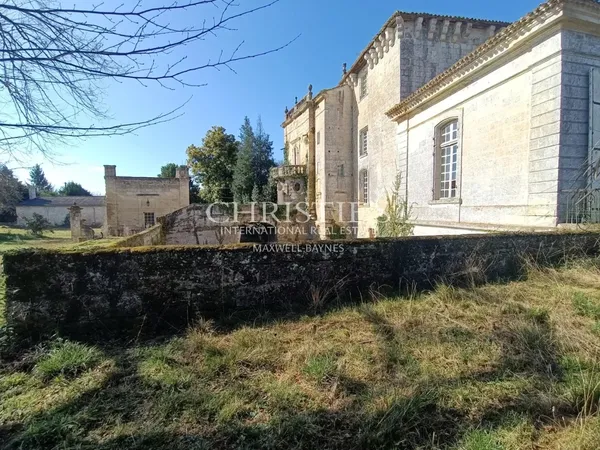 Ancien Château caractère avec 12 ha de vigne en AOC Lussac St Emilion 