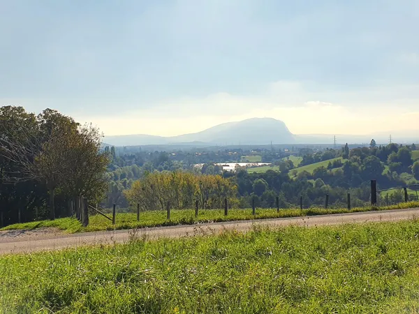 Terrain 981 m² 