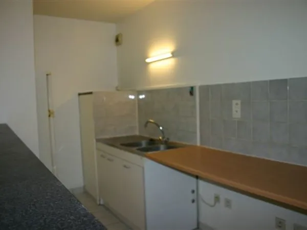Studio de 45m2 à louer sur Lyon 4 